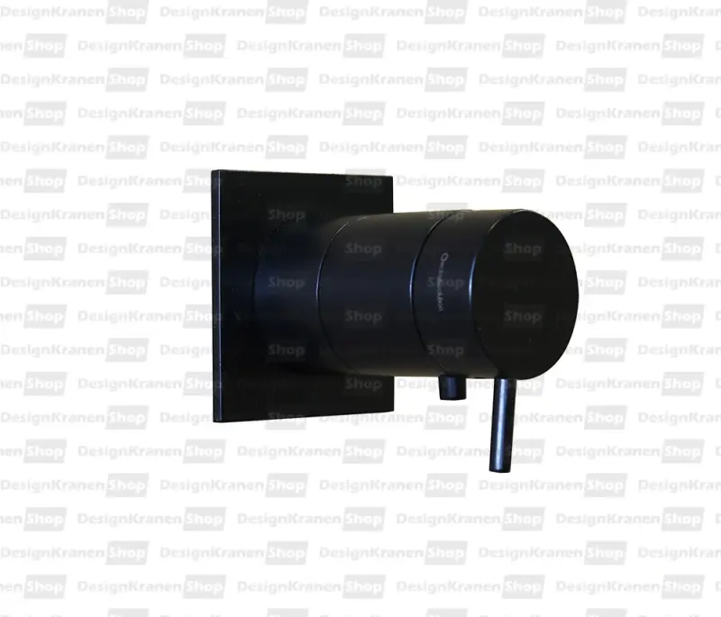 Waterevolution Flow vgrajeni pršni termostat kvadratni rozeta mat črna T142TBPR