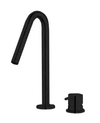 Waterevolution Flow 2-luknjasta umivalniška pipa mat črna z majhnim V 120mm izlivom T1121VPR