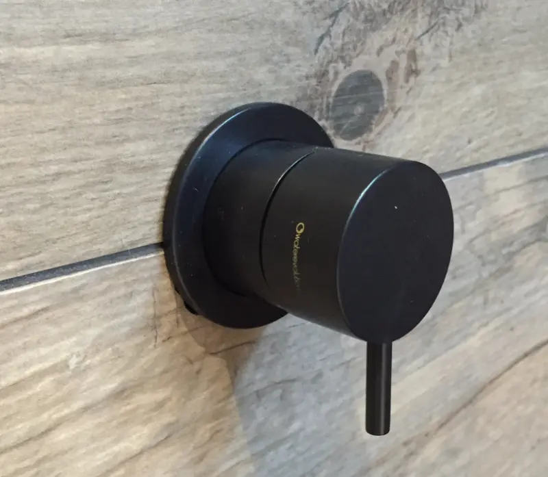 Waterevolution Flow inbouw 2-smerni preklopnik mat črn z okroglo rozeto T1482SPR