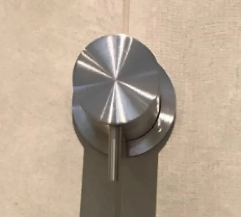 Waterevolution Flow vgradni 2-smeri preklopnik RVS z okroglo rozeto T1482SIE