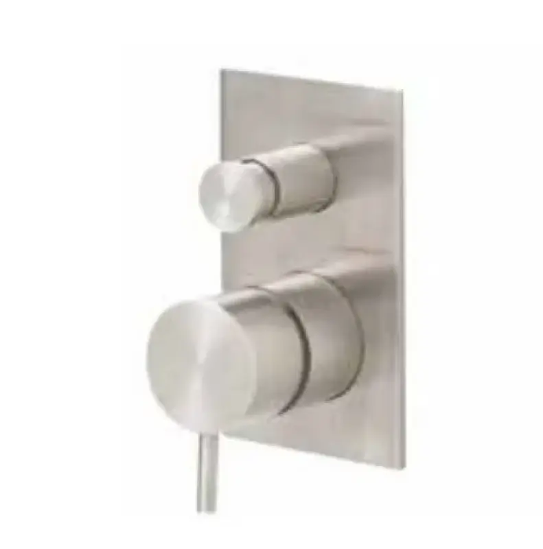 Waterevolution Flow vgradni tuš termostat z 2 izhodi iz nerjavečega jekla T132TBIE