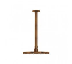 Waterevolution Flow glavna prha 250mm s stropno povezavo Čopičast Baker T1642CPE
