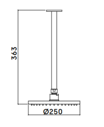 Waterevolution Flow glavna prha 250mm s stropno povezavo Čopičast Baker T1642CPE
