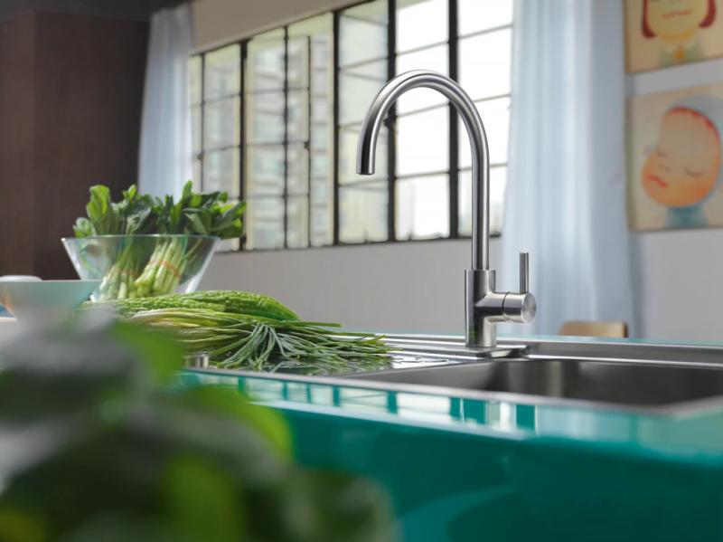 Franke Kuhinjska pipa Eos Neo z vrtljivim izlivom, popolnoma iz nerjavečega jekla 115.0590.044