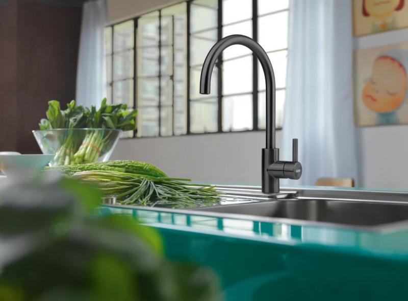 Franke Kuhinjska Pipa Eos Neo vrtljiva izliv brušena črna 115.0613.590