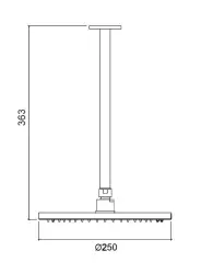Waterevolution Flow hoofddouche 250 mm met plafondaansluiting chroom T16422501