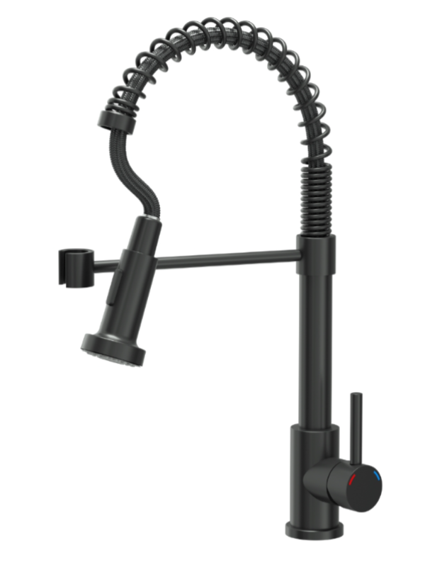 Quadri Derby kuhinjska armatura s fleksibilnim izlivom in prho z 2 vrstama curkov mat črna 1208955917