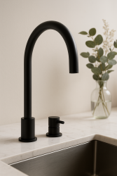 Waterevolution Flow 2-odprtinska kuhinjska armatura mat črna T151PR