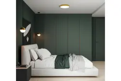 Decor Abies medeninasta zlata viseča svetilka z okroglim kovinskim baldahinom 3558