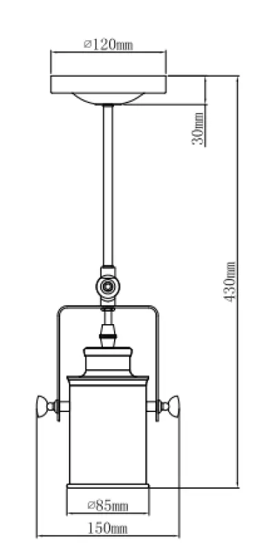 Decor Demir črna viseča svetilka z 1 svetlobnim virom 3963