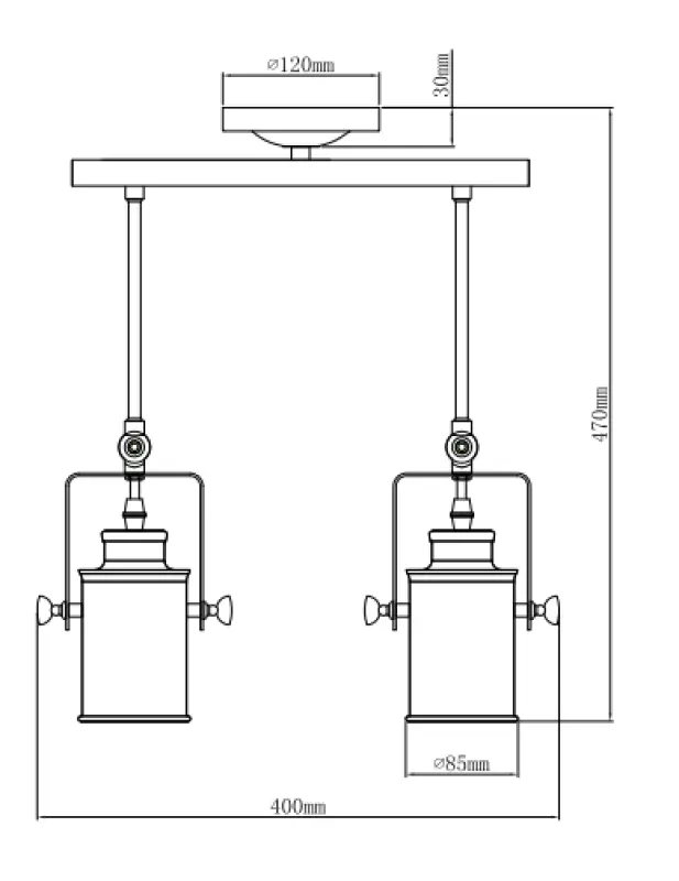 Decor Demir črna viseča svetilka z 2 svetlobnima viroma 3994