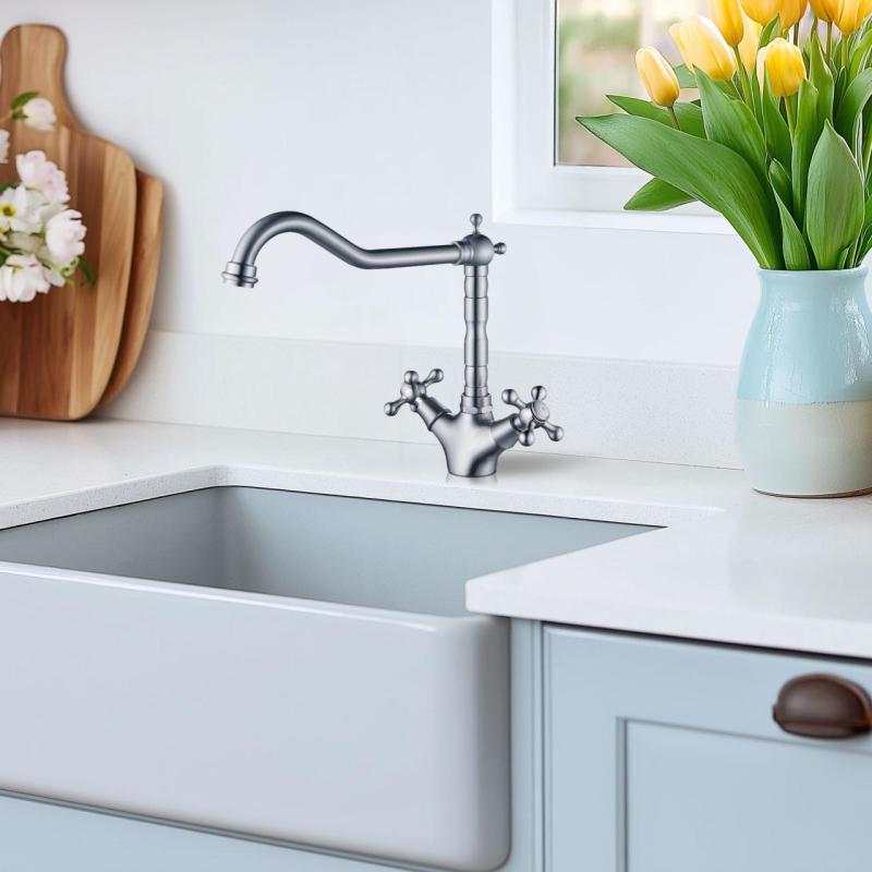 AquaTrimo Windsor klasična kuhinjska nostalgijska pipa z kotnim izlivom RVS 21WS7531NM