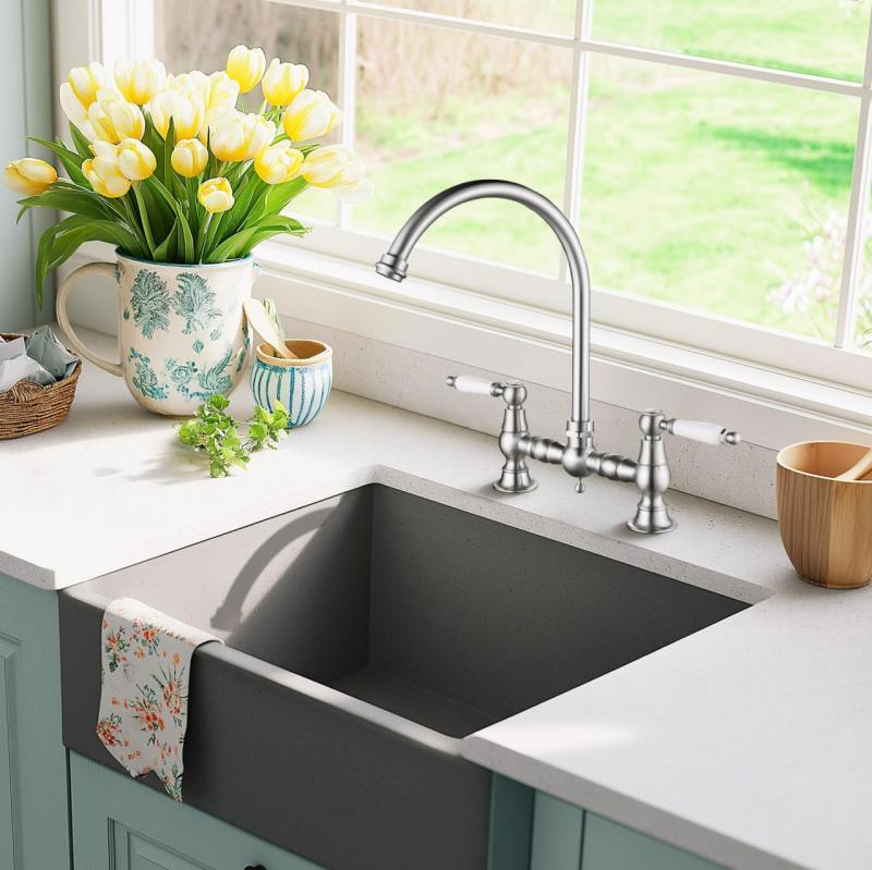 AquaTrimo Country 2-luknjasta klasična kuhinjska nostalgična mostna kuhinjska pipa z okroglo izlivno cevjo barva nerjaveče jeklo 21CT7655NM