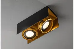 Deco Verso črno-zlata stropna svetilka z gibljivo glavo, dve svetlobni vir 4212