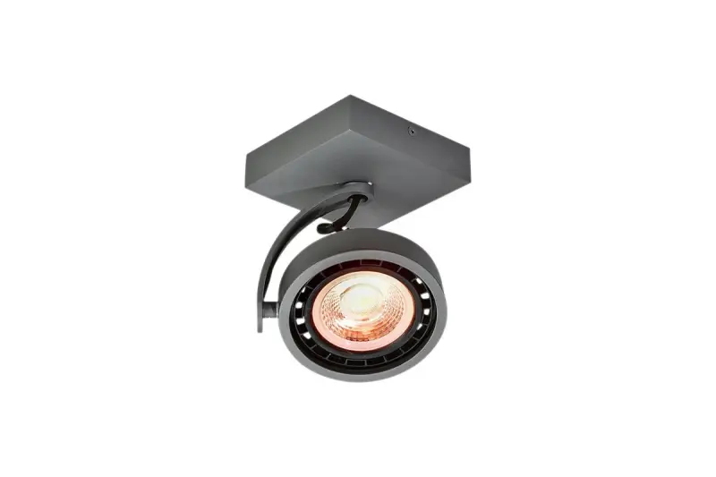 Decoreer Wally plafondlamp of wandlamp antraciet met beweegbare kop, 1 lichtbron 4281