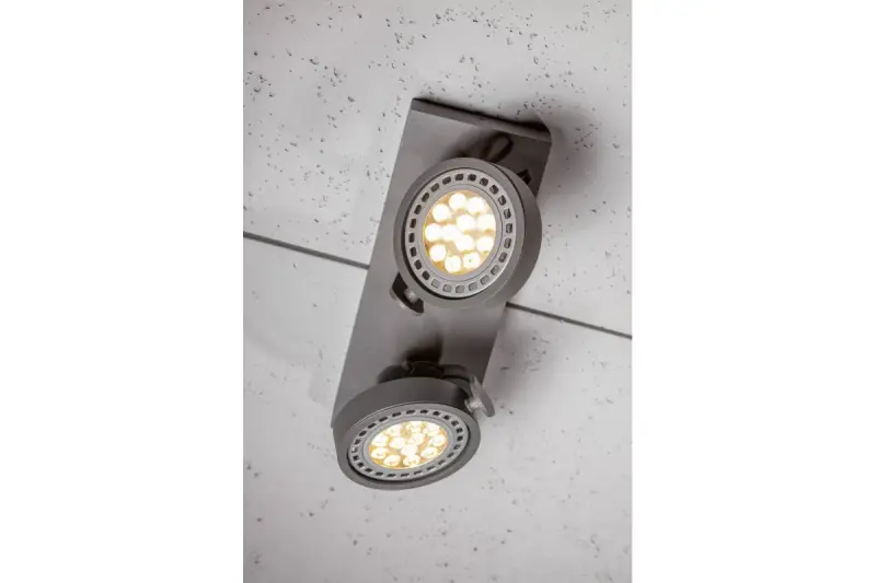 Decor Wally stropna ali stenska svetilka antracit v premični glavi 2 svetlobna vira 4304