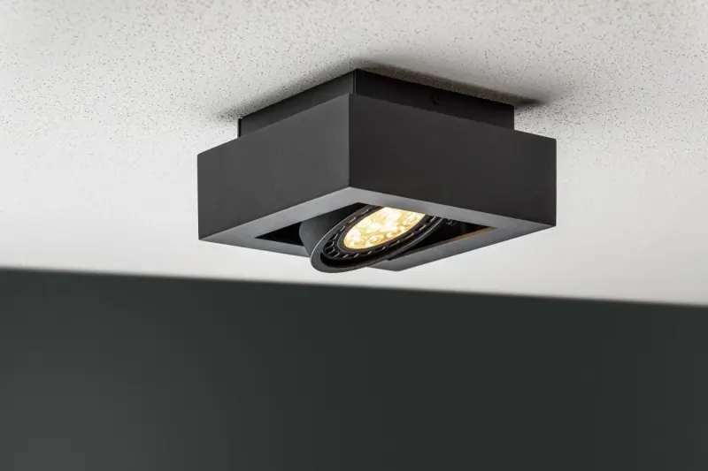 Decor Loid funkcionalna črna enojna stropna svetilka z eno svetlobno točko 4687