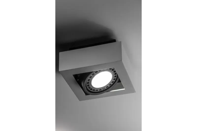 Decor Loid funkcionalna bela enotočkovna stropna svetilka z 1 svetlobnim virom 4632