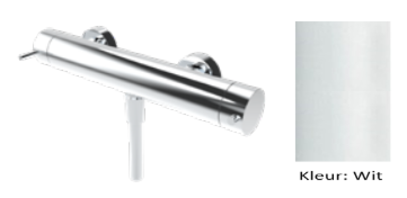 Waterevolution Flow tuš termostat s prho garniturom bela T140TNBR