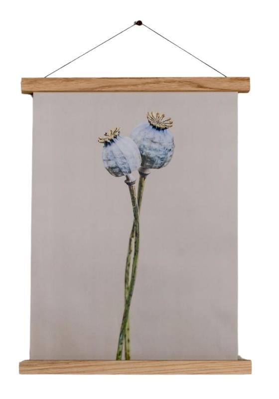 Woodsea Okvir S - Hrastov magnetni okvir S (A4) 1208971603