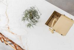 Pure.Sink Exclusivo zlata mobilna odkapna pladenj 440 x 335 mm za pomivalno korito PEXTRAY-60