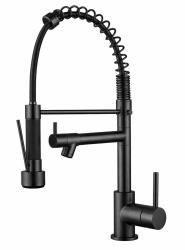 Aquanello Gastro Kuhinjska pipa s profesionalno pršilno funkcijo, črna BL-4402-GT